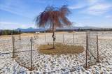 60871 Bear Creek Drive - Photo 101