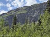20120 Glenn Highway - Photo 12