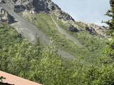 20120 Glenn Highway - Photo 6