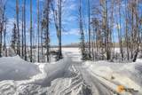 23282 Talkeetna Spur Road - Photo 42