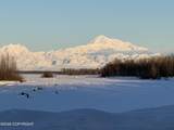 23282 Talkeetna Spur Road - Photo 50
