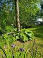 22120 Easy Street - Photo 44