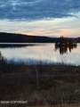 L11 Tolsona Lake Road - Photo 1