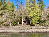 57A Wadleigh - Photo 2