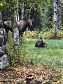 14423 Four Mile Road - Photo 22
