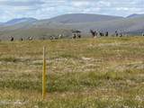 126.5 Steese Highway - Photo 37
