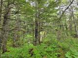 L5, Sec 19 Mud Bay Rd - Photo 6