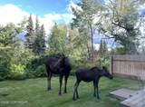 1541 G Street - Photo 29