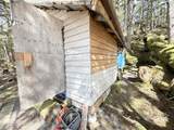 51 Twelve Mile Road - Photo 50