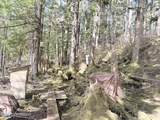 51 Twelve Mile Road - Photo 51