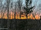 3170 Secluded Meadows Loop - Photo 49