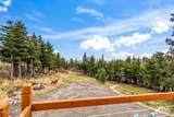 8201 Robert Drive - Photo 39