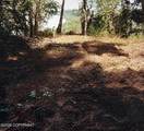 ASLS 78-149 - Photo 4