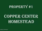 27 Klutina River Trail Road - Photo 3