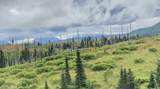 17775 Caribou Hills Rem - Photo 45