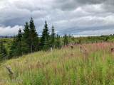 17775 Caribou Hills Rem - Photo 47