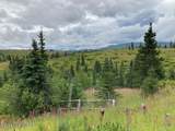 17775 Caribou Hills Rem - Photo 48