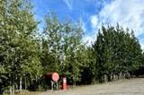 Mile 8.9 Edgerton Hwy - Photo 32