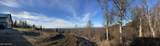 15561 Willa's Way - Photo 8
