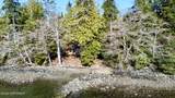 57A Wadleigh - Photo 3