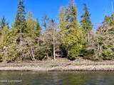 57A Wadleigh - Photo 48