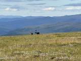 126.5 Steese Highway - Photo 34