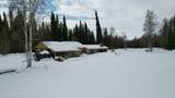 126.5 Steese Highway - Photo 38