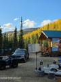 17370 Chena Hot Springs Road - Photo 64