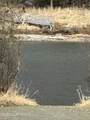 41955 Salamatof Drive - Photo 3