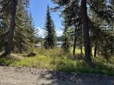 36118 Old Sterling Highway - Photo 14