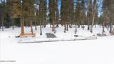 50461 Kasilver Court - Photo 138