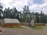 27 Klutina River Trail Road - Photo 30