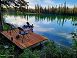 27 Klutina River Trail Road - Photo 46