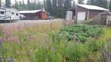 27 Klutina River Trail Road - Photo 7