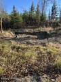 65449 Lingonberry Road - Photo 71