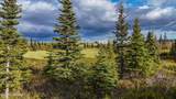 17775 Caribou Hills Rem - Photo 12