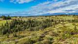 17775 Caribou Hills Rem - Photo 17