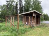 39902 Olivia Street - Photo 56