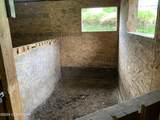 39902 Olivia Street - Photo 62