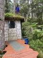 51 Twelve Mile Road - Photo 23