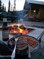 17370 Chena Hot Springs Road - Photo 55