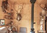 17370 Chena Hot Springs Road - Photo 9