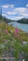27 Klutina River Trail Road - Photo 83