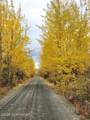 27 Klutina River Trail Road - Photo 84