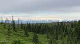 17775 Caribou Hills Rem - Photo 20