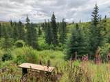 17775 Caribou Hills Rem - Photo 24