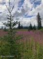 17775 Caribou Hills Rem - Photo 25