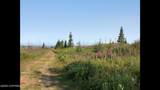 17775 Caribou Hills Rem - Photo 28