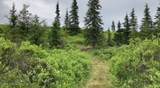 17775 Caribou Hills Rem - Photo 30