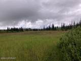 17775 Caribou Hills Rem - Photo 31